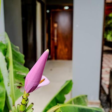 Cloud Forest House Monteverdes 외부 사진