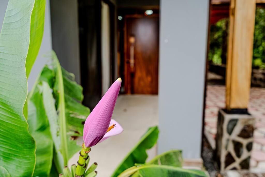 Cloud Forest House Monteverdes 외부 사진